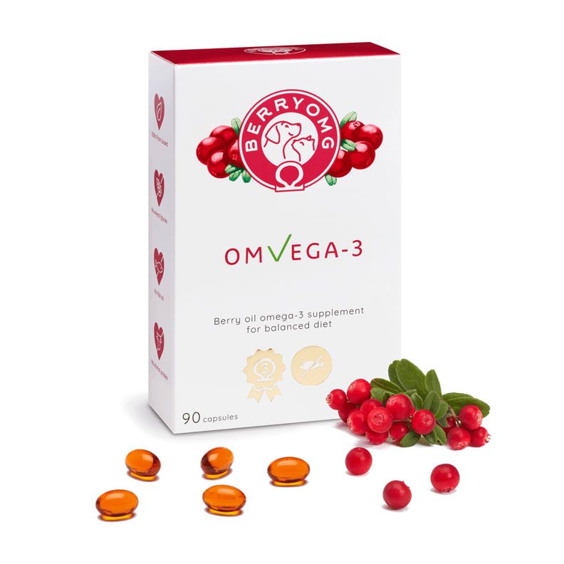 A box of Berry OMG OMvEGA-3 vegan berry oil supplement by Berry OMG is shown with cranberries, green leaves, and orange capsules. The white box with red accents displays berry images and features lingonberry seed oil for omega fatty acids.