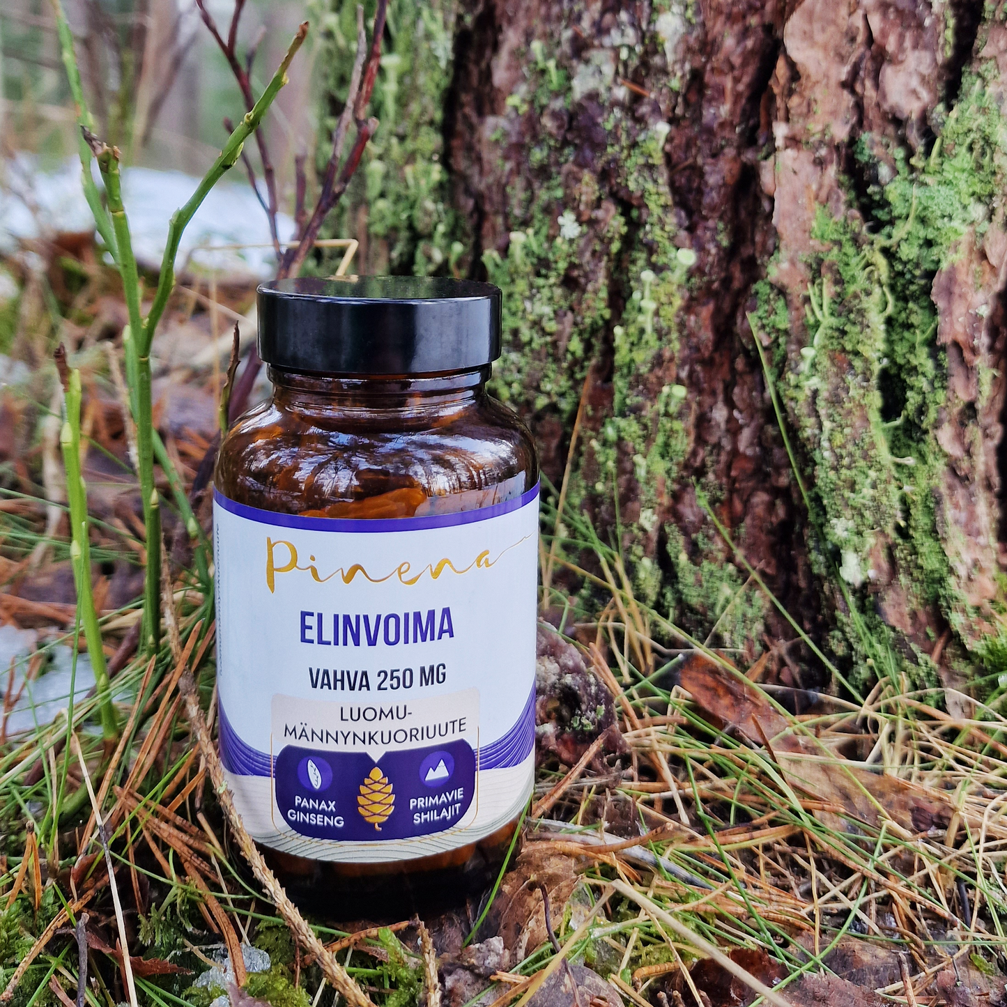 A brown glass jar labeled Pinena Stimulate stands on forest ground with moss, twigs, and pine needles by a tree. The label highlights organic pine bark extract, ginseng, and shiitake to support hormonal balance.