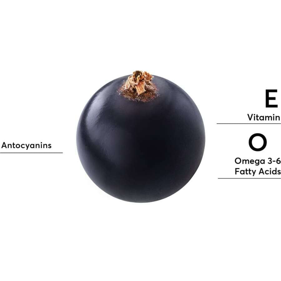 A single black acai berry with labels for Antocyanins (left), Vitamin E, and Omega 3-6 Fatty Acids (right)—ideal for oily skin and products like Mossa Skin Solutions Anti-Blemish Clarifying Toner from Mossa that unclogs pores.