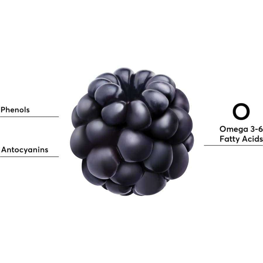 A close-up of Mossa Youth Defence Restoring Night Cream highlights “Phenols” and “Anthocyanins” on the left, and “Omega 3-6 Fatty Acids”—from blackberry seed oil—on the right, all set against a crisp white background.
