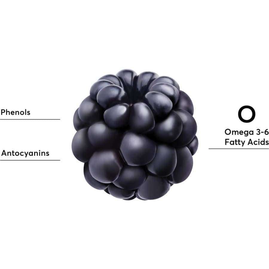 A close-up of Mossa Youth Defence Restoring Night Cream highlights “Phenols” and “Anthocyanins” on the left, and “Omega 3-6 Fatty Acids”—from blackberry seed oil—on the right, all set against a crisp white background.