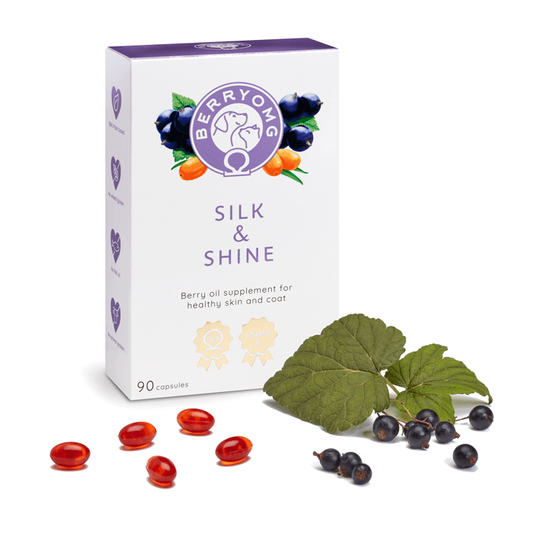 A box of Berry OMG Silk & Shine by Berry OMG sits beside blackcurrants, leaves, and red capsules. This berry oil supplement provides omega fatty acids to support your pet’s healthy skin and coat and includes 90 capsules per box.