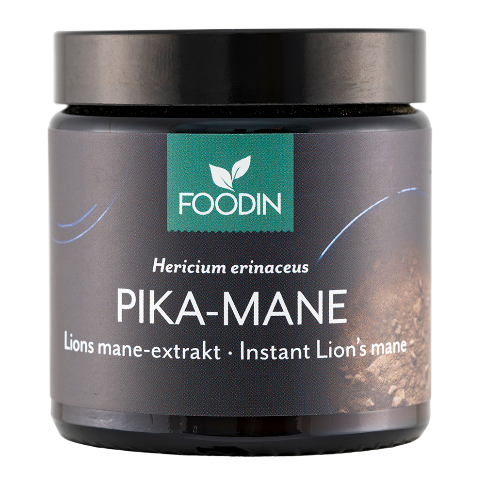 A dark jar labeled Foodin Instant Lion's Mane, a product by Foodin, featuring Hericium erinaceus extract rich in beneficial polysaccharides and designed for instant use.