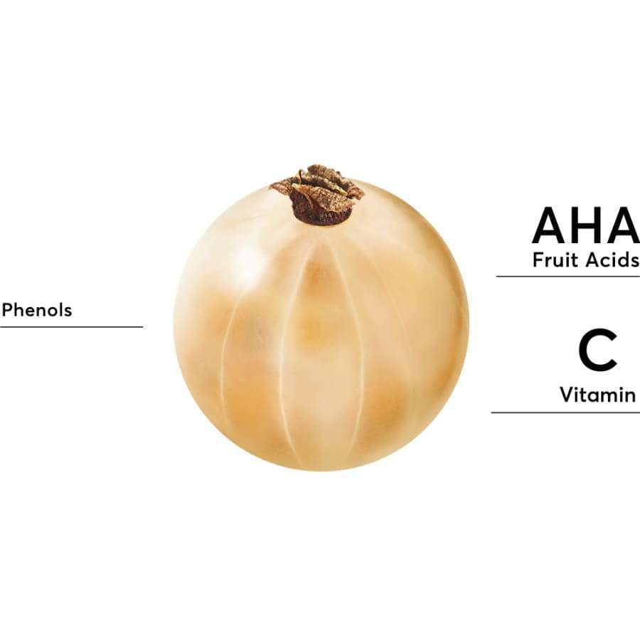 Die Nahaufnahme einer durchscheinenden, runden Frucht hebt ihre natürlichen AHA-Fruchtsäuren, Phenole und Vitamin C hervor. Das Bild zeigt die Juicy Clean Purifying Creme-Mousse von Mossa und erwähnt die Vorteile der sanften Reinigungsmilch.