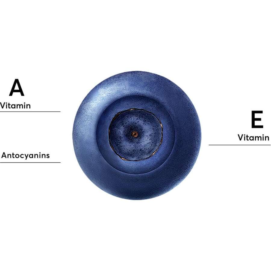 Nahaufnahme einer einzelnen Blaubeere mit Etiketten für Vitamin A, Anthocyane und Vitamin E - wichtige Inhaltsstoffe der Mossa Youth Defence Moisturising Antioxidant Day Cream - auf weißem Hintergrund.