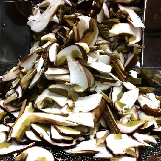 Ein Stapel getrockneter Steinpilze Kaavi Porcini mit braunen Rändern und subtilen Grüntönen ruht auf einer Metallfläche.