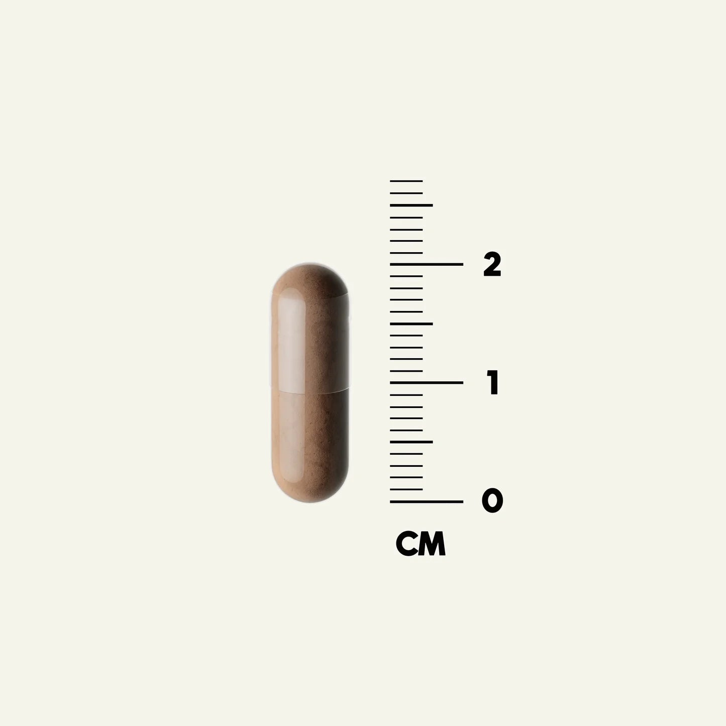 Une capsule DENSE Beef Testicles de DENSE, connue pour favoriser la testostérone naturelle et la vitalité masculine, est représentée à la verticale à côté d'une règle graduée en centimètres, mesurant un peu moins de 2 cm. Le fond est uni et de couleur claire.