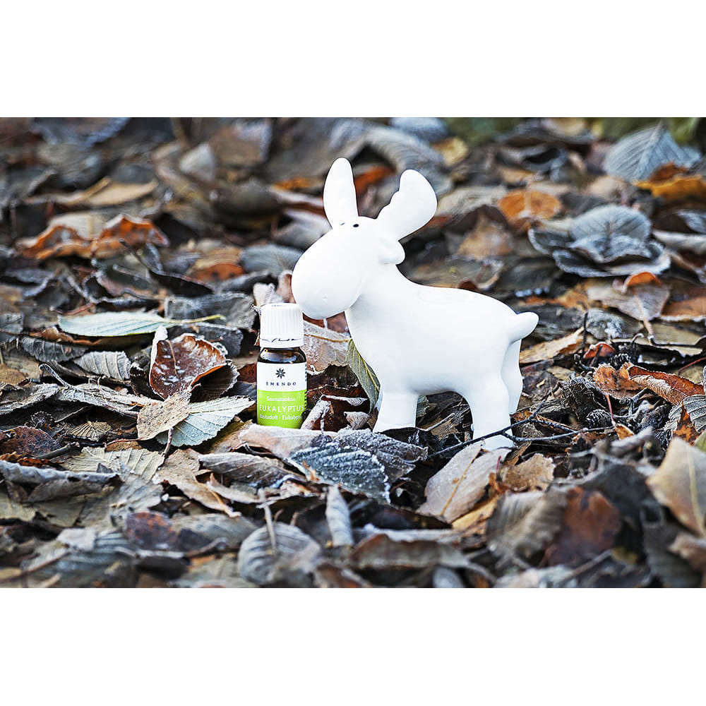 La sauna Emendo Sauna Reindeer, un piccolo ornamento in ceramica bianca, e l'olio di eucalipto Emendo Eucalyptus Oil riposano su foglie secche, creando un'affascinante scena di sauna.