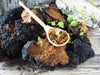 Chaga mushrooms on a table with a wooden spoon on them