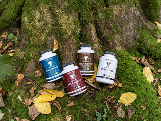 Nordic Kings -supplementen met Nordic Kings op de grond