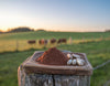 Dark brown freeze-dried liver powder and supplement capsules on a stone surface