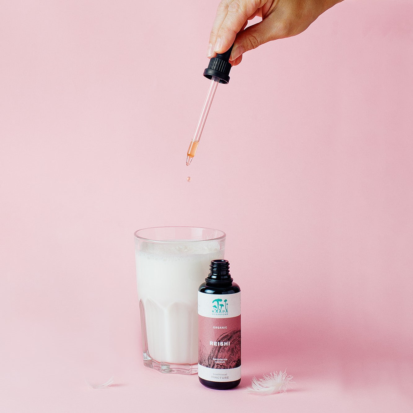 KÄÄPÄ Mushrooms Reishi Extract – product image 9