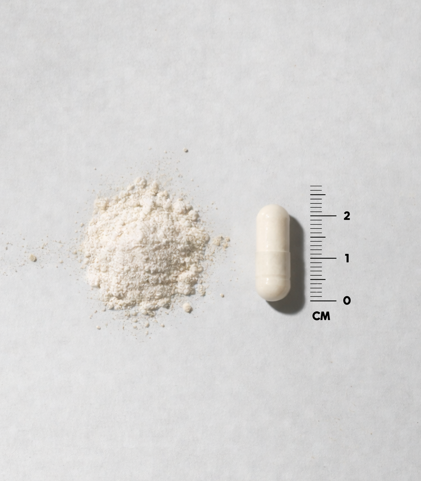 DENSE Bone Matrix – product image 5