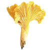 Kaavi Porcini Dried Chanterelle features vibrant yellow chanterelle mushrooms, popular in Finland, with wavy, fan-shaped caps and pronounced gills, displayed against a white background.