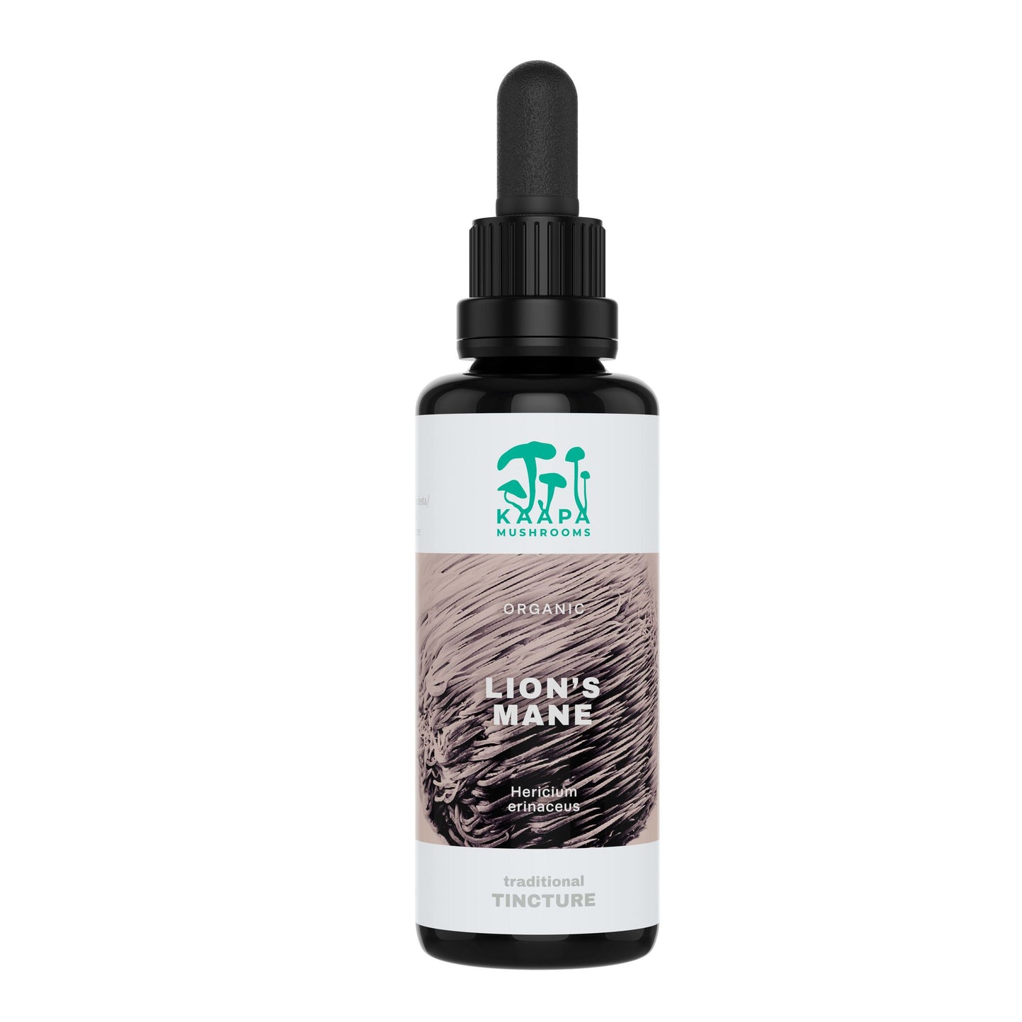 A dark glass dropper bottle labeled KÄÄPÄ Mushrooms Organic Lion's Mane Extract, with a mushroom illustration on a white background—an excellent mushroom extract from KÄÄPÄ Mushrooms to support brain health.