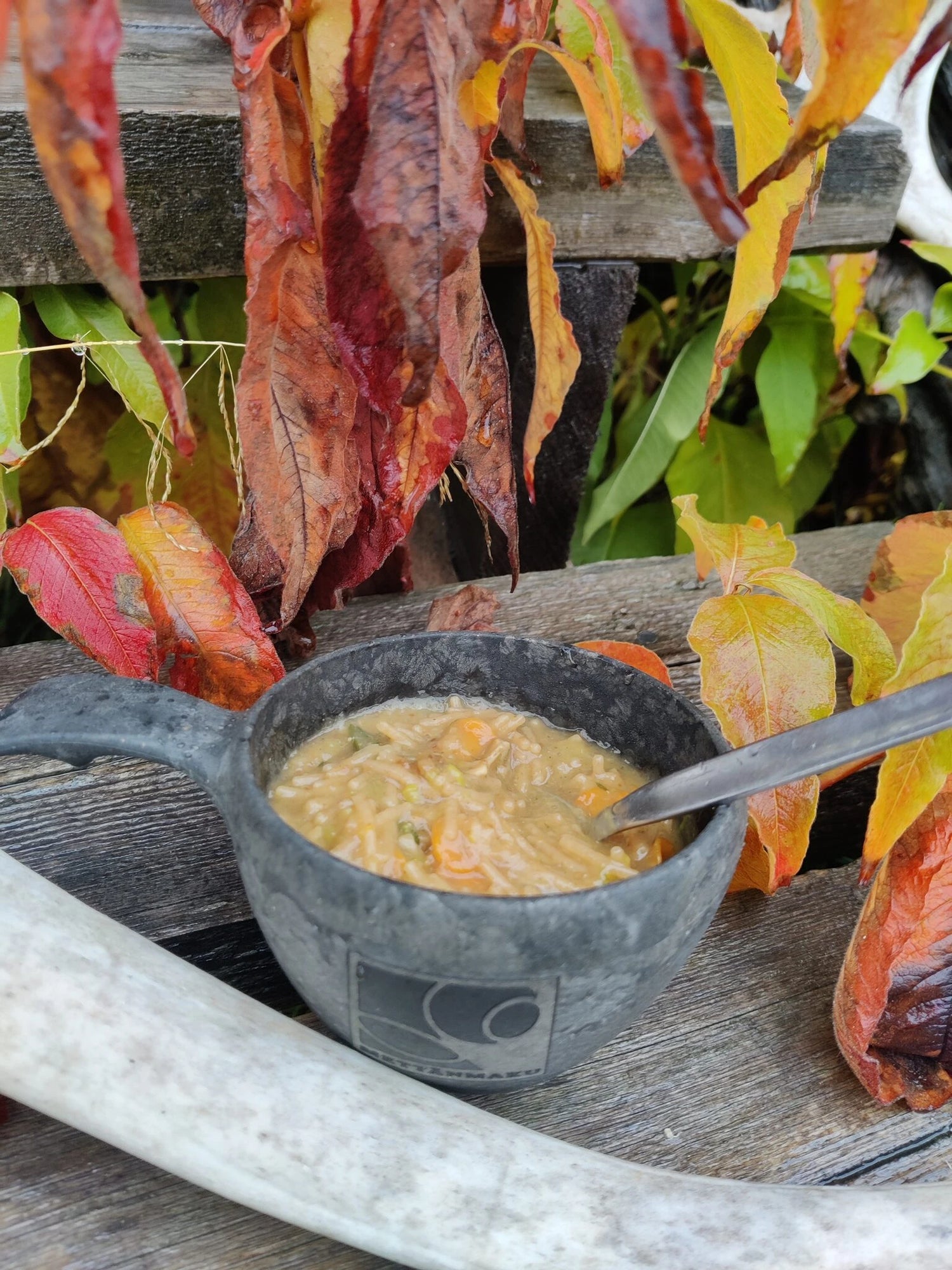 MettänMaku Porcini Pasta