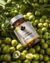 Puhdistamo Organic Vitamin C