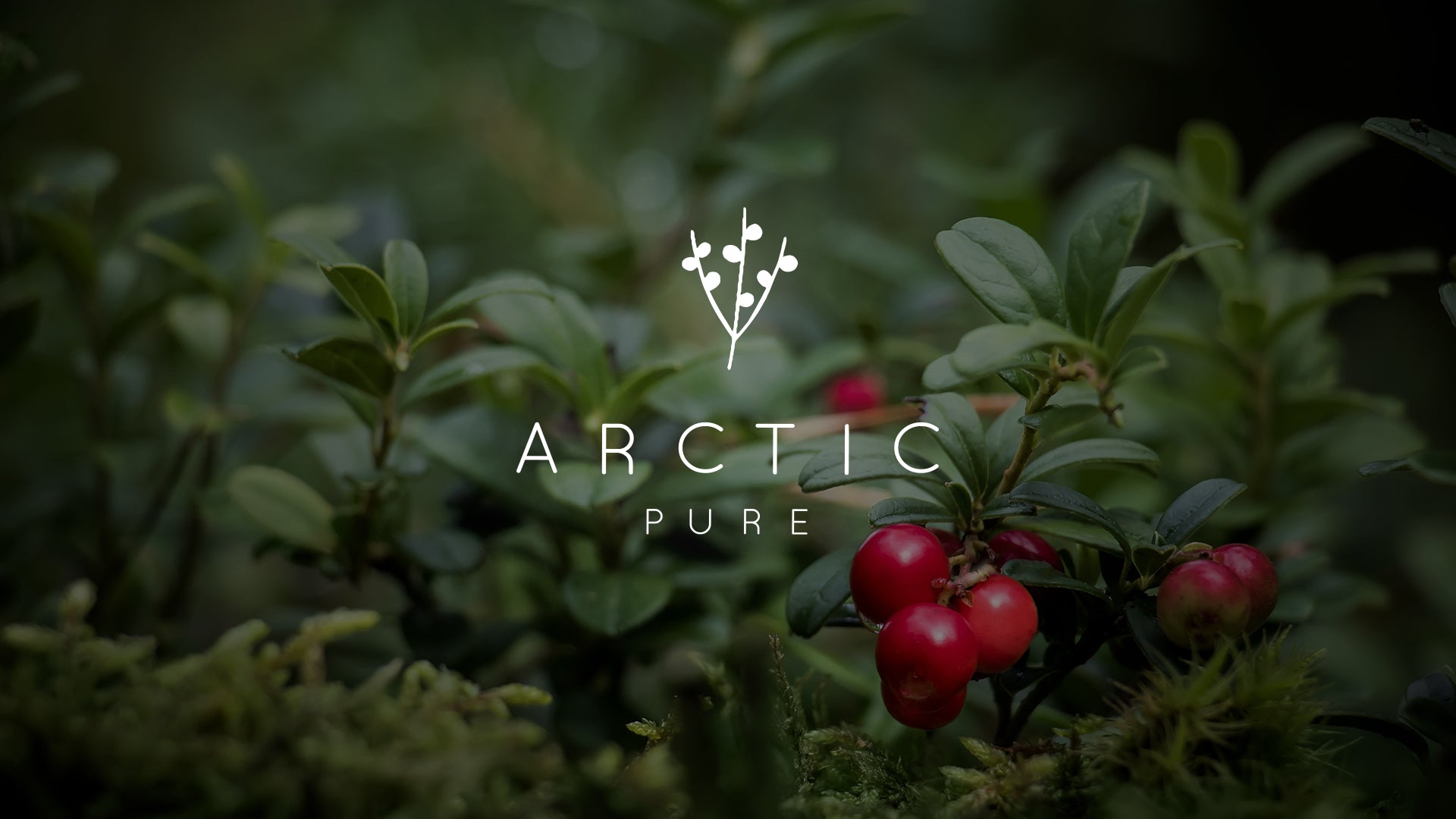 Load video: video featuring northern nature, berries, mushrooms and northern lights