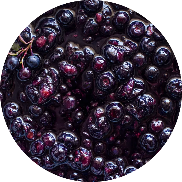 Berrie Wild Bilberry – product image 4