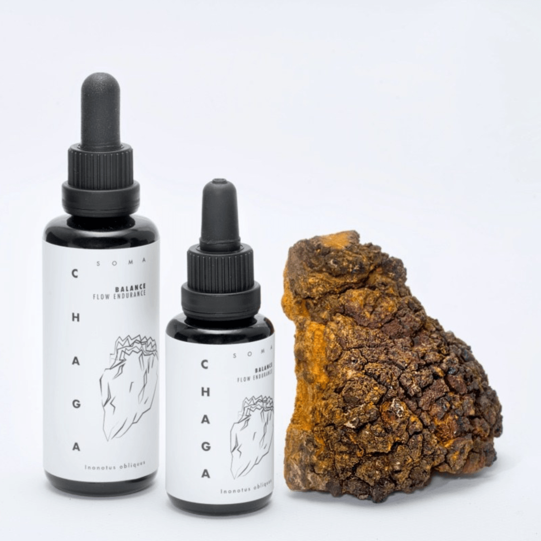 KÄÄPÄ Mushrooms Organic Chaga Extract