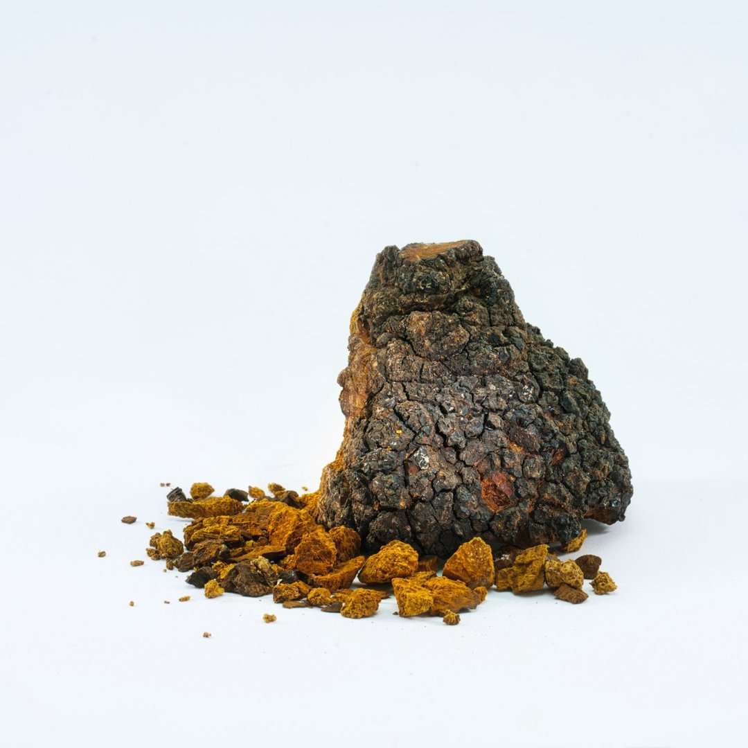 KÄÄPÄ Mushrooms Organic Chaga Extract