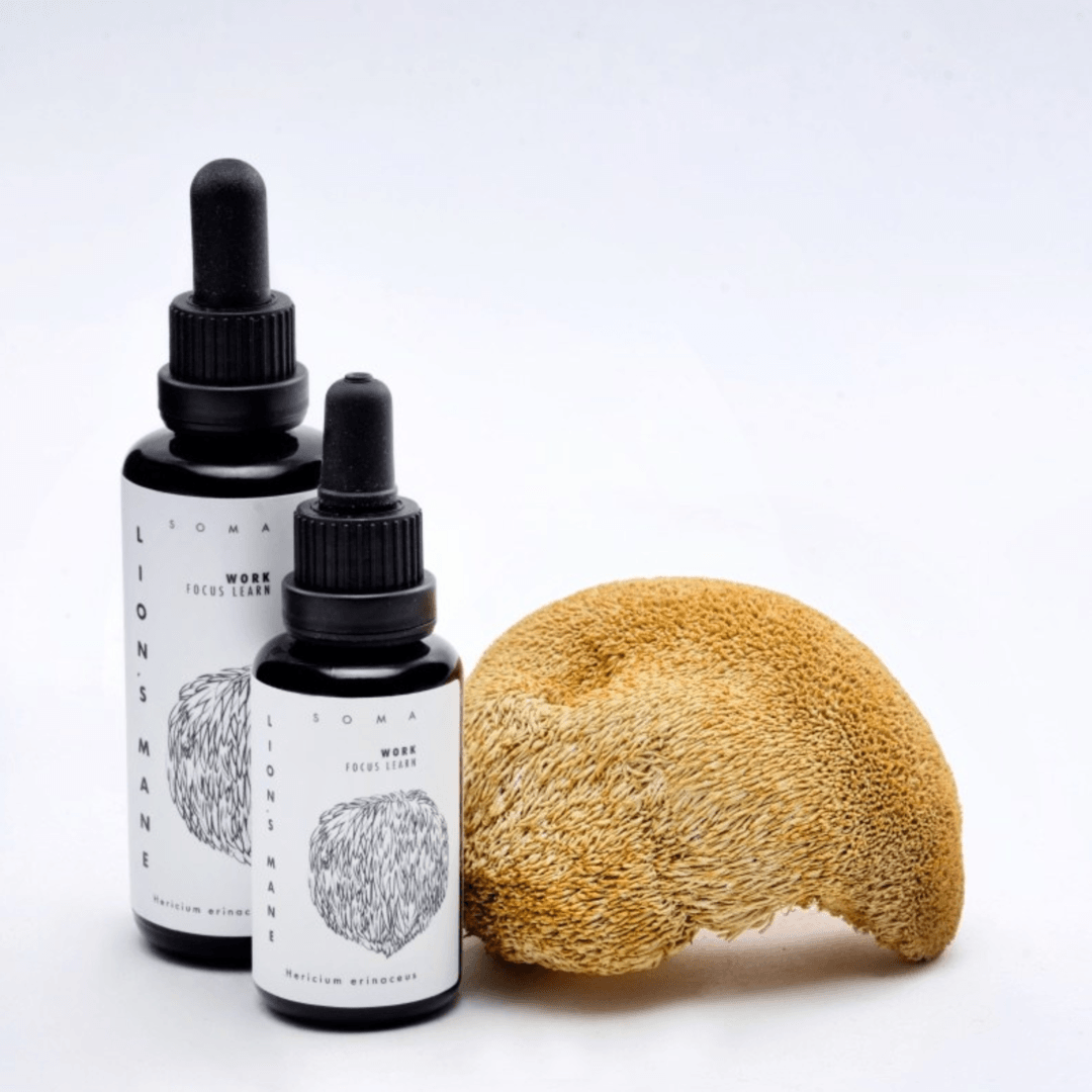 KÄÄPÄ Mushrooms Organic Lion's Mane Extract