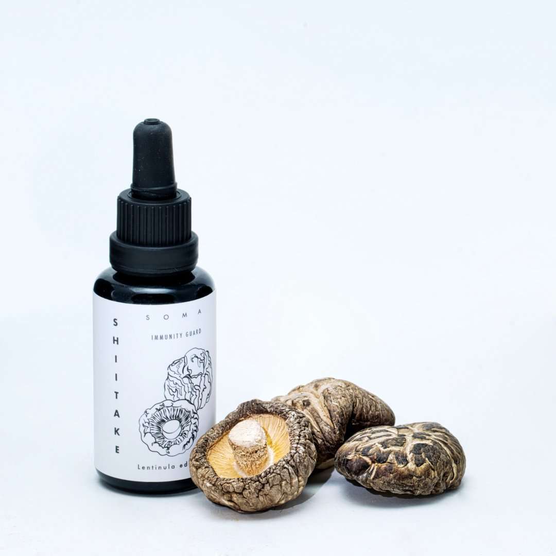 KÄÄPÄ Mushrooms Organic Shiitake Extract