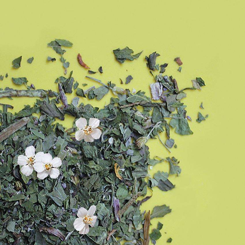Mettä Green Cleanse Herbal Tea