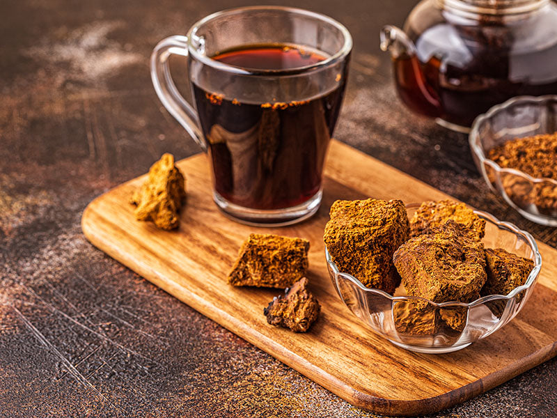 Chaga-Tee enthält viele Antioxidantien