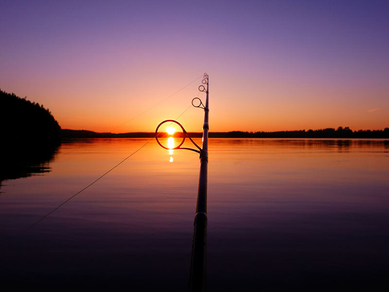 Angelrute bei Sonnenuntergang im Sommer