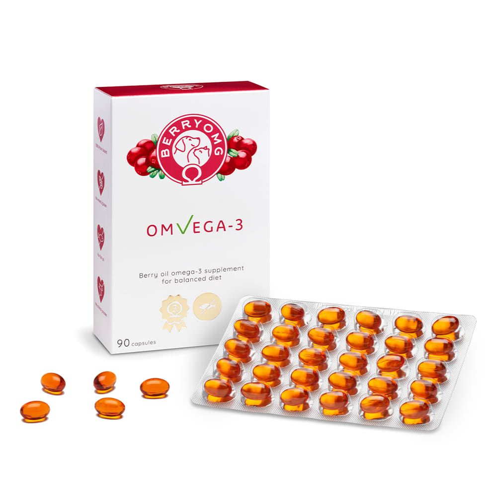Eine Schachtel Berry OMG OMvEGA-3 von Berry OMG steht neben einer Blisterpackung mit 35 orangefarbenen Kapseln. Die Verpackung zeigt Beeren, Omega-3-Symbole, hebt Preiselbeersamenöl hervor und weist darauf hin, dass sich 90 Kapseln darin befinden.