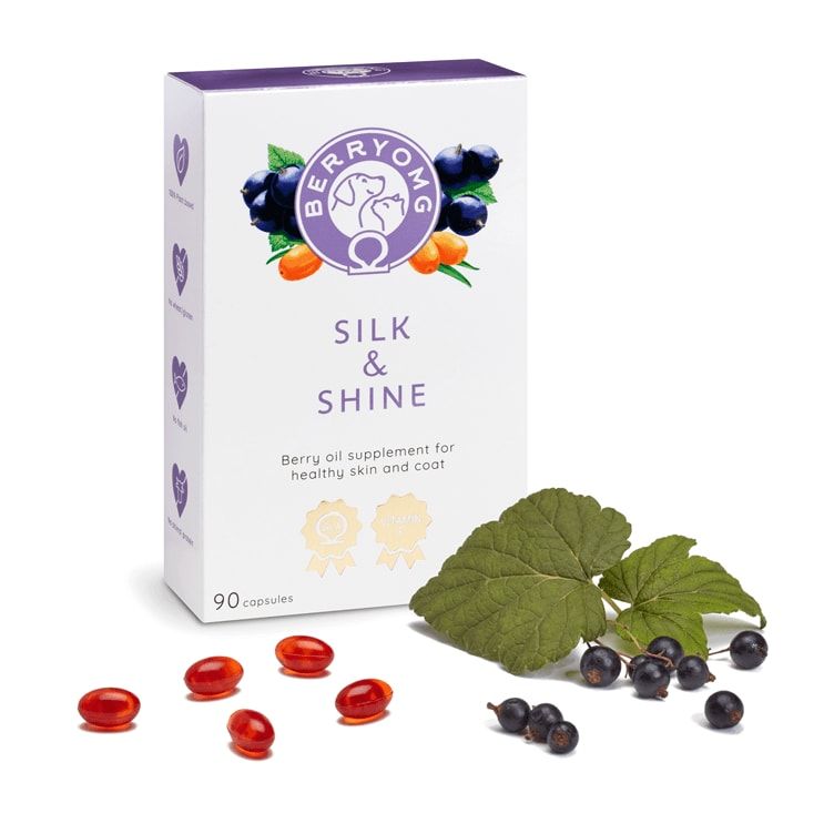 Eine Schachtel Berry OMG Silk & Shine von Berry OMG enthält neben schwarzen Johannisbeeren, Blättern und roten Kapseln. Dieses Nahrungsergänzungsmittel mit Beerenöl liefert Omega-Fettsäuren zur Unterstützung einer gesunden Haut und eines gesunden Fells Ihres Haustiers und enthält 90 Kapseln pro Packung.