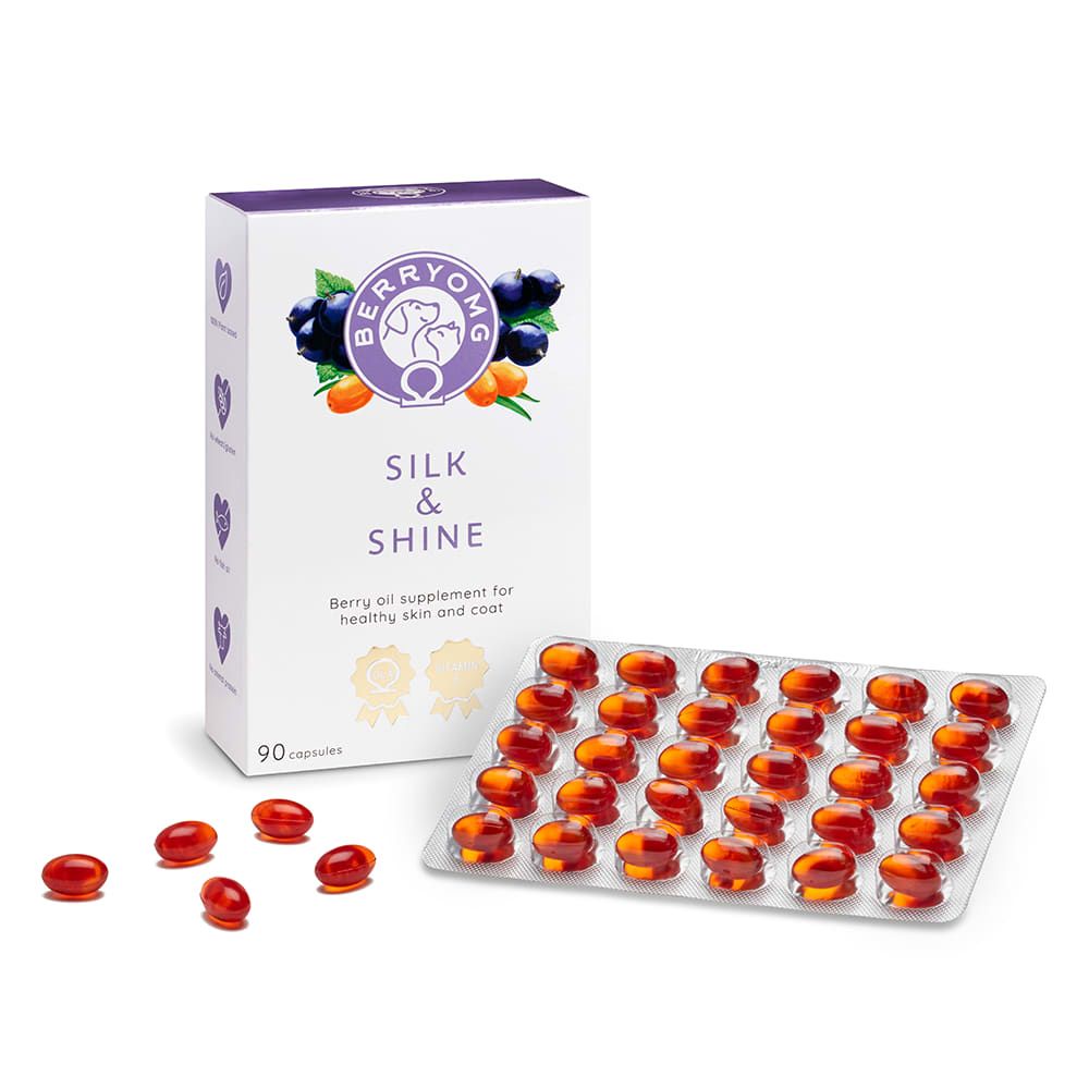 Eine Schachtel mit der Aufschrift Berry OMG Silk & Shine von Berry OMG steht neben einer Blisterpackung mit 30 roten Kapseln, vor denen sich lose Kapseln befinden. Die Verpackung hebt die Omega-Fettsäuren für die Gesundheit von Haut und Fell sowie die Linderung von juckenden Hautstellen hervor.