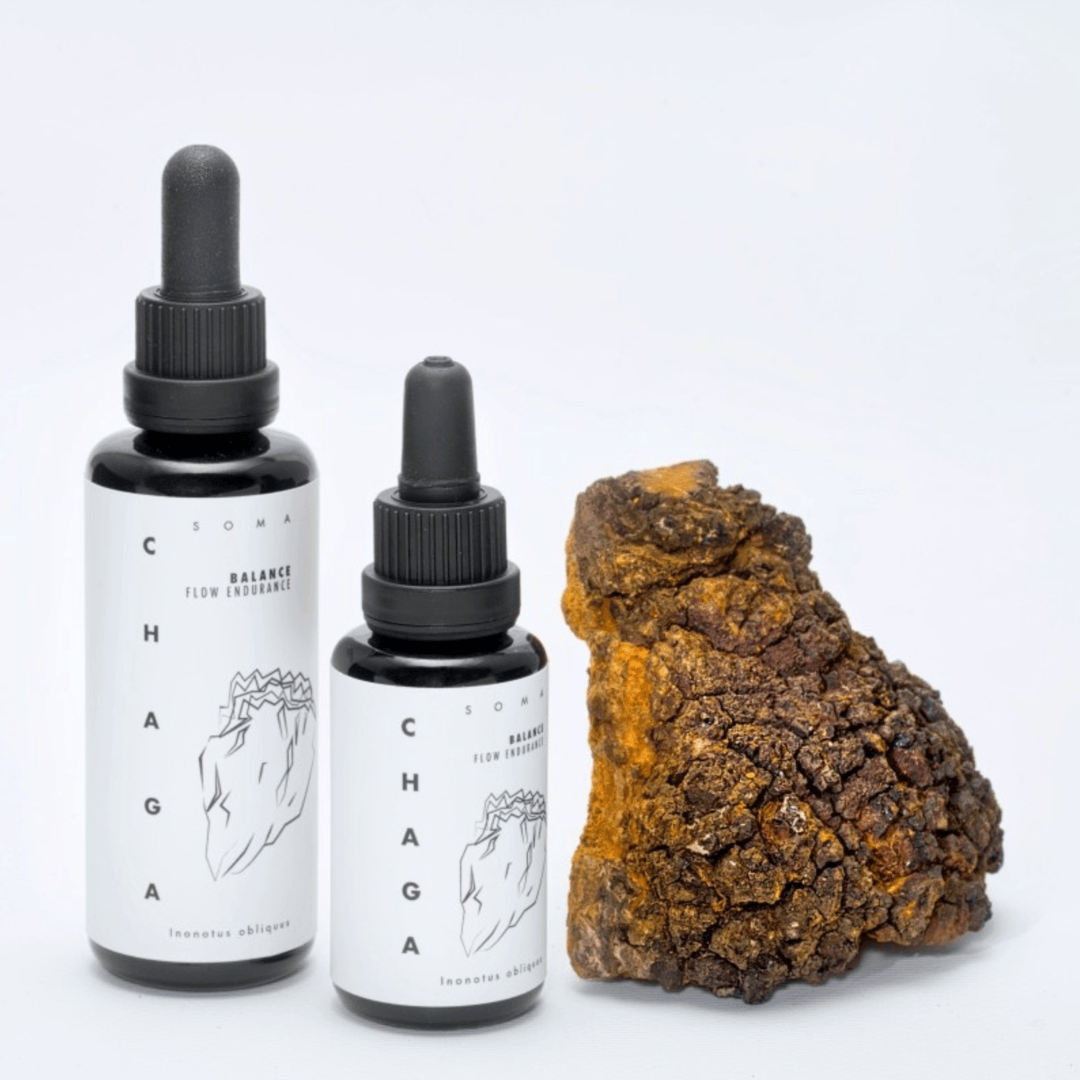 Deux flacons compte-gouttes minimalistes d'extrait de chaga KÄÄPÄ Mushrooms de KÄÄPÄ Mushrooms à côté d'un morceau de chaga finlandais brut sur un fond blanc uni.