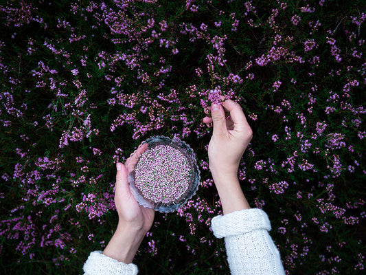 METTÄ ti offre i migliori ingredienti della natura nordica