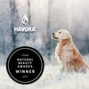 Un golden retriever seduto sull'erba gelata con uno sfondo innevato finlandese. Il logo Havuka appare sopra il balsamo alla resina di abete rosso Havuka per animali, accanto a un badge nero: Vincitore del Nordic Natural Beauty Awards 2022.