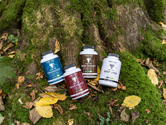 Nordic Kings -supplementen met Nordic Kings op de grond