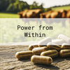 Een close-up van bruine capsules op een houten oppervlak met grazende koeien in een groene weide op de achtergrond. De tekst boven de afbeelding luidt: Power from Within.
