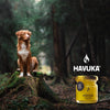 Een bruine en witte hond zit op een bemoste boomstronk in een bos, naast een pot Havuka Spruce Resin Balm for Animals met een geel etiket. Het Havuka-logo staat boven de pot en weerspiegelt de Finse natuur.