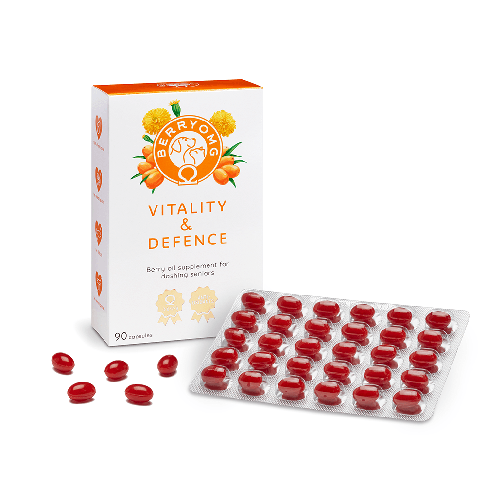 Een doos met het opschrift Berry OMG & Defence met oranje bessen en bladeren, naast een blisterverpakking en losse rode capsules op een witte achtergrond. Op de verpakking staat dat het een antioxidantrijk bessensupplement met duindoornolie voor senioren is.