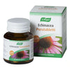 A.Vogel Echinacea kauwtabletten